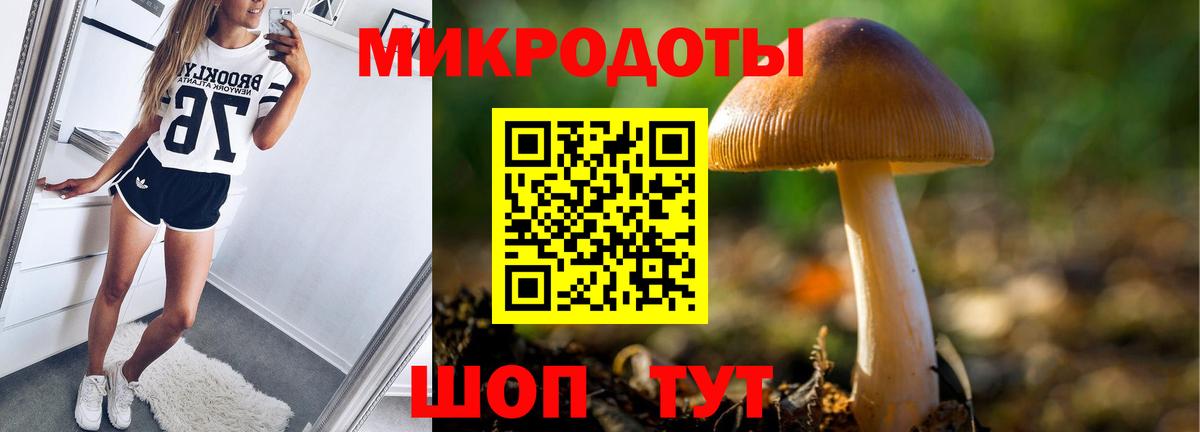 Галлюциногенные грибы Psilocybine cubensis  Вход с VPN  где найти наркотики  Ачинск 